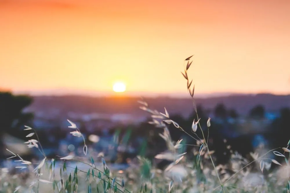 1 VERY Simple Way to Get MUCH More Out of Your Day
